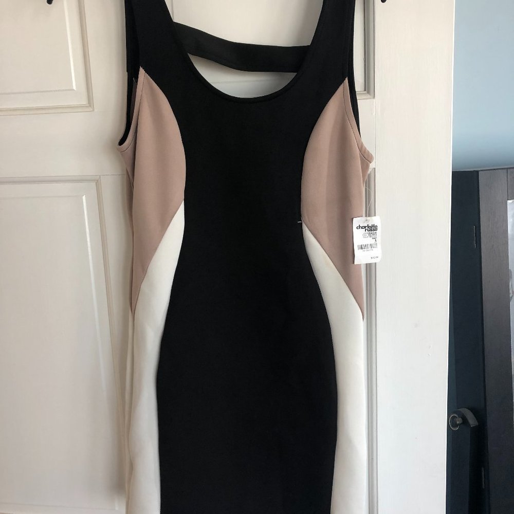 form fitting  dress from charlotte - size L